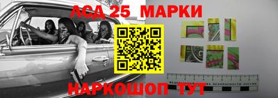 прущие грибы Обнинск