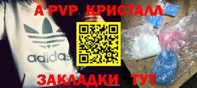 прущие грибы Обнинск